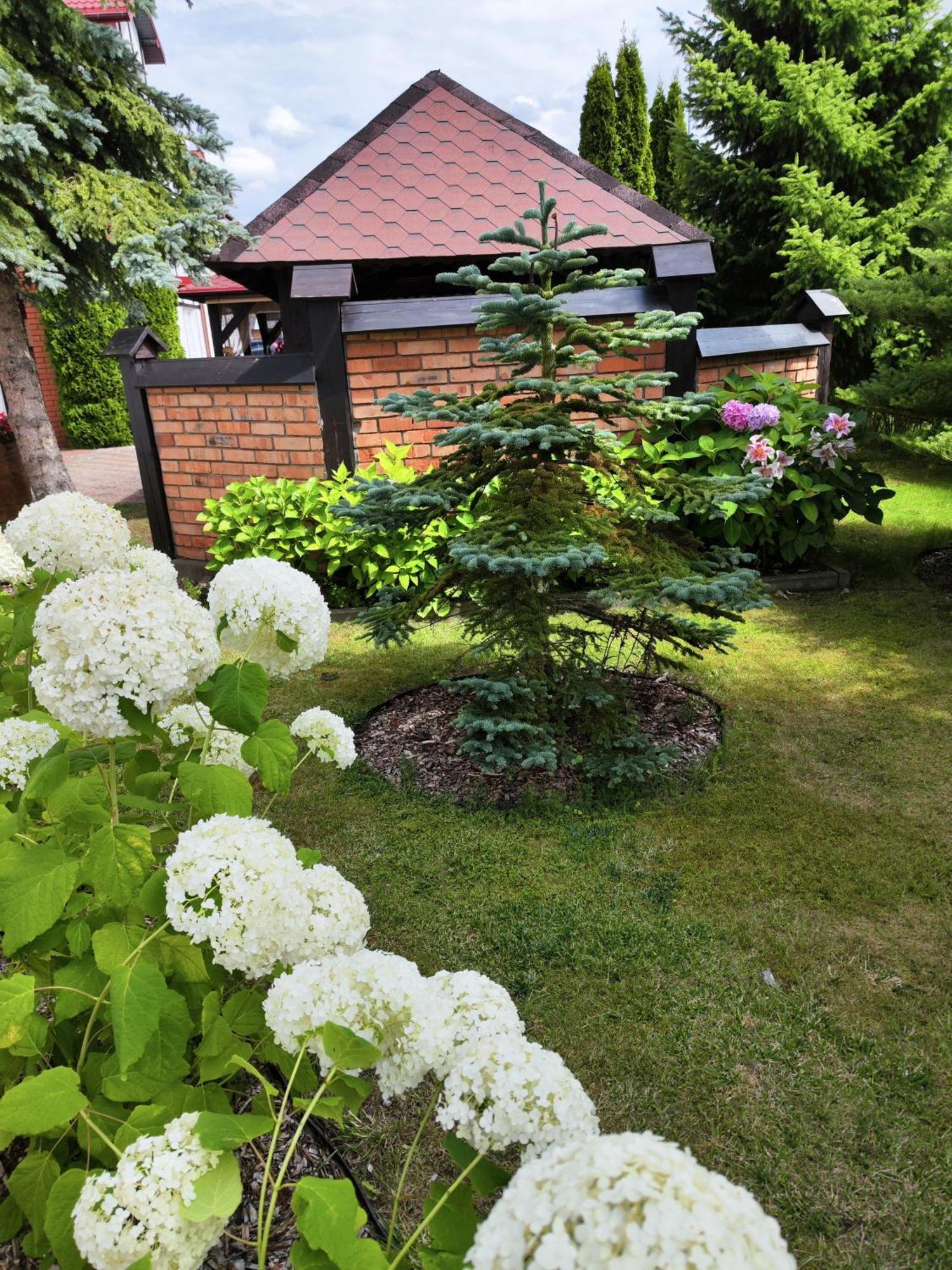 Bed and Breakfast Michalek W Rowach Ровы Экстерьер фото