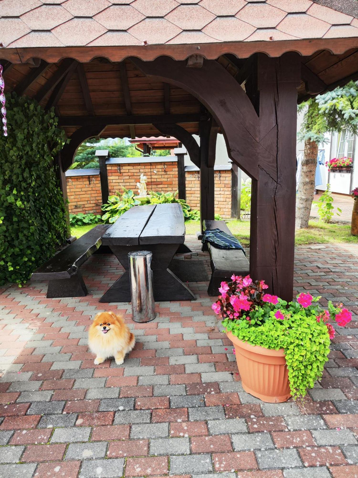 Bed and Breakfast Michalek W Rowach Ровы Экстерьер фото