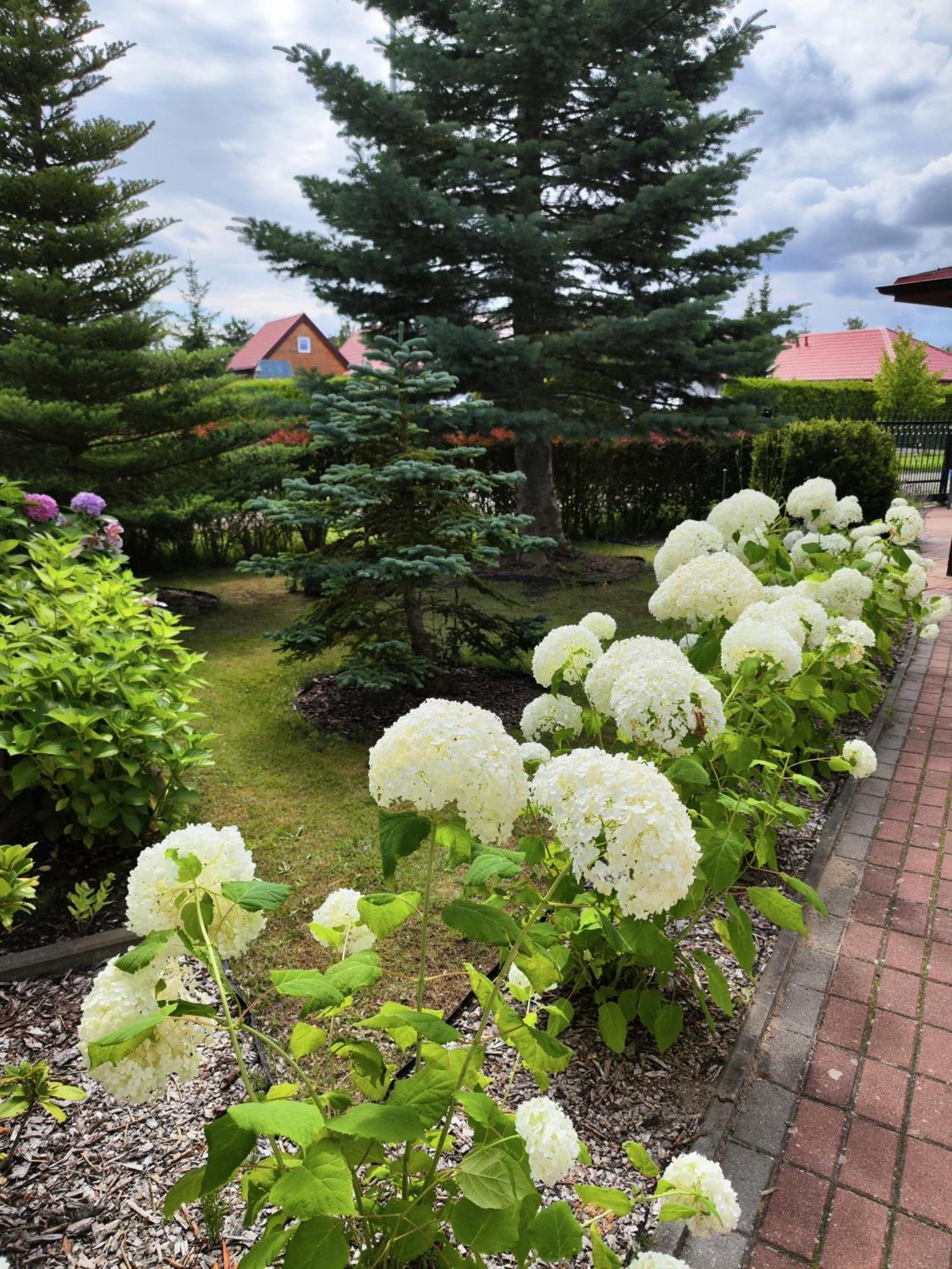 Bed and Breakfast Michalek W Rowach Ровы Экстерьер фото
